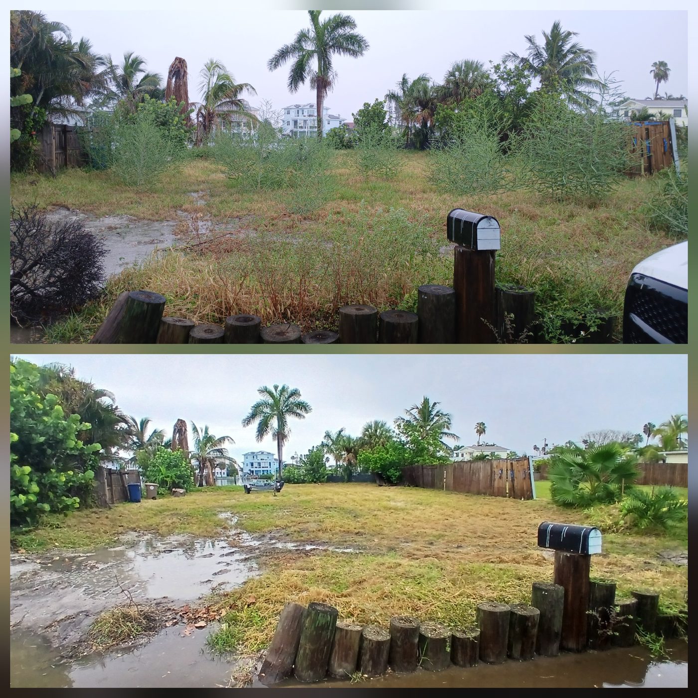Lot clearing before and after