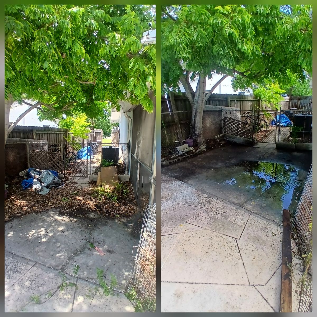 Yard debris removal before and after