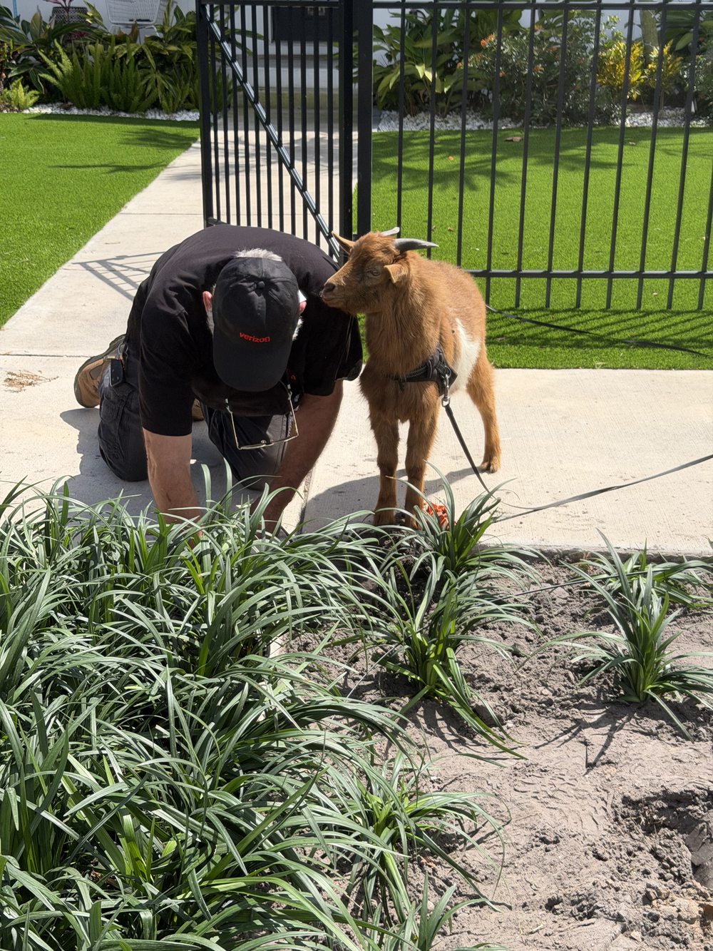 Planting on the job site