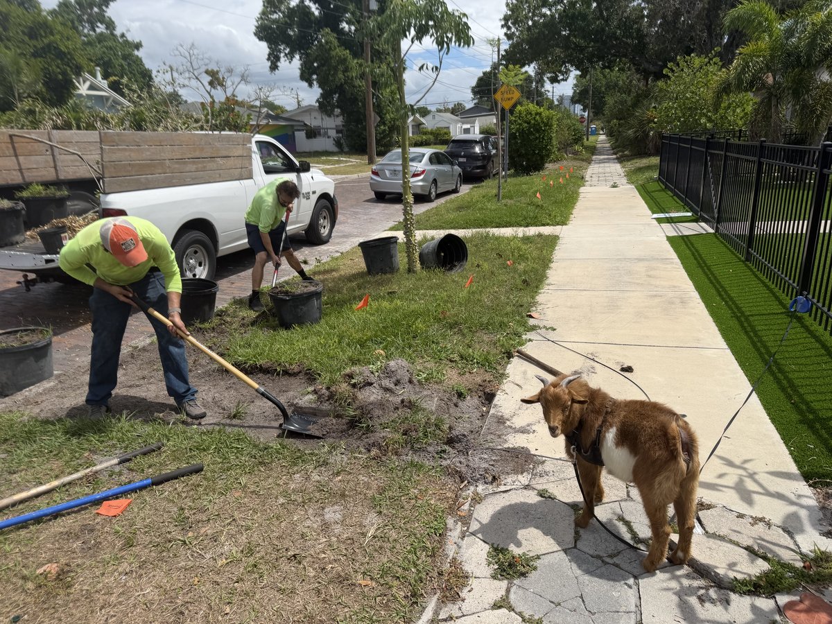 EcoEden crew on the job