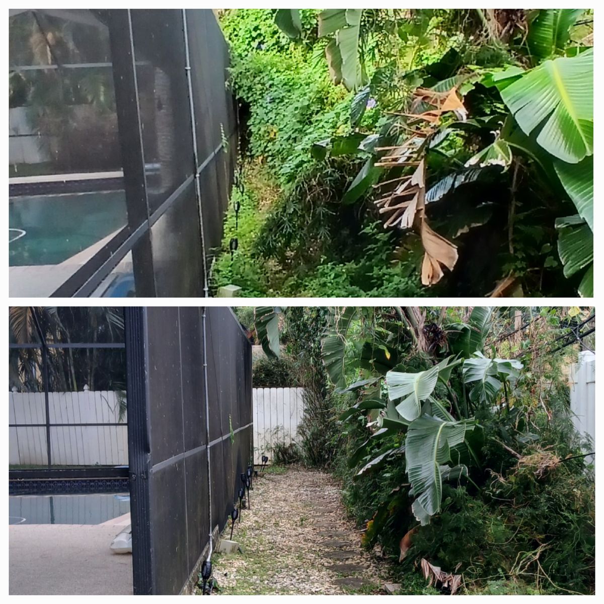 Tropical landscape before and after