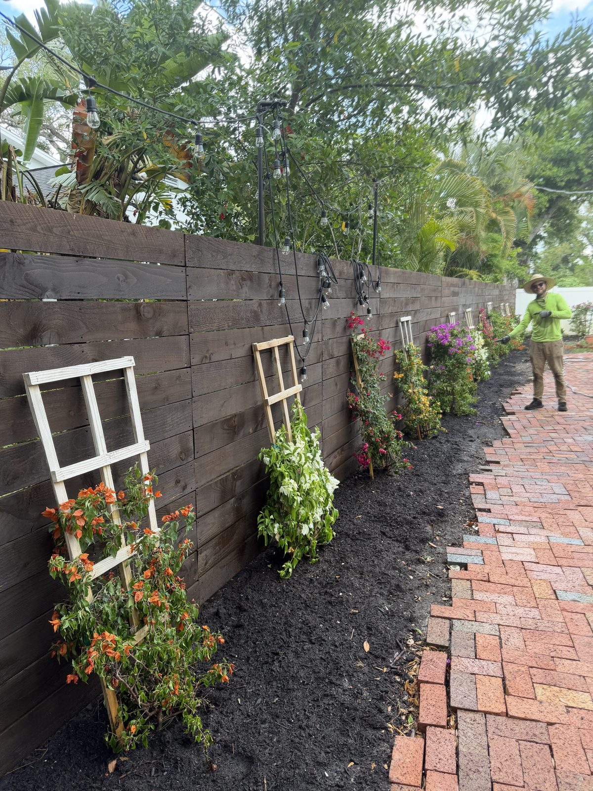 Plants staged for install