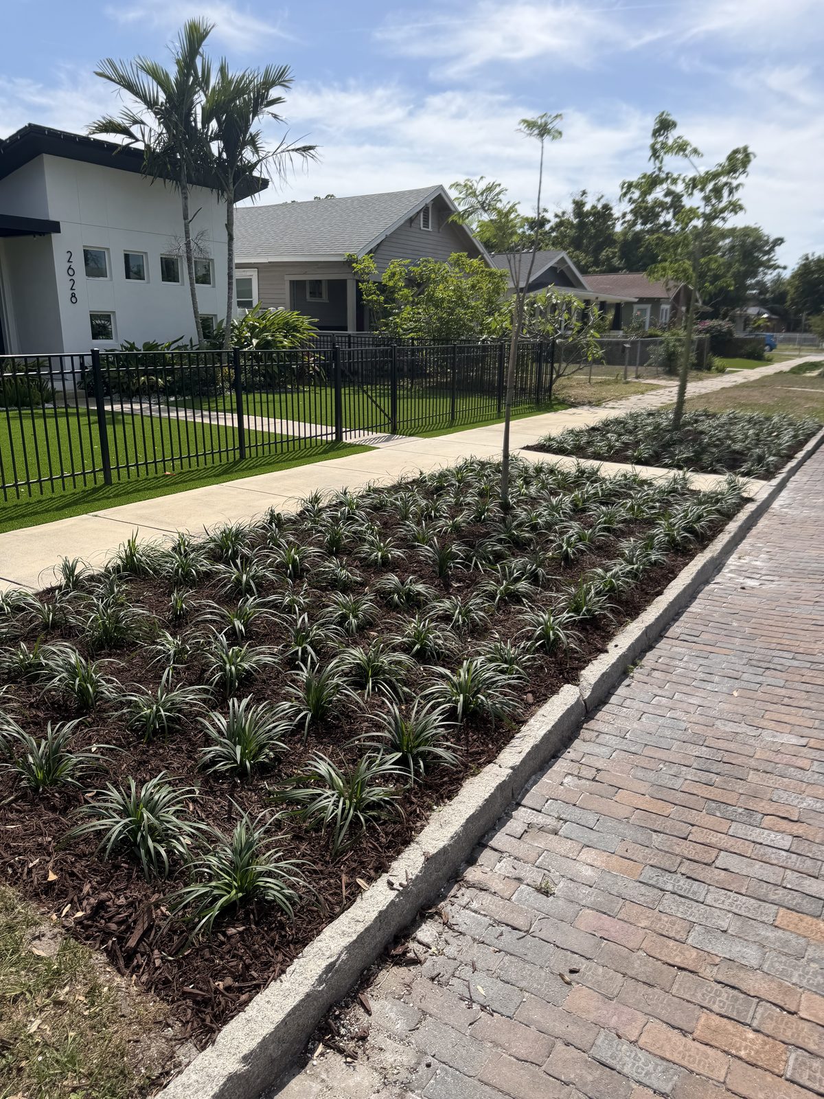 Mass planting install along brick wall